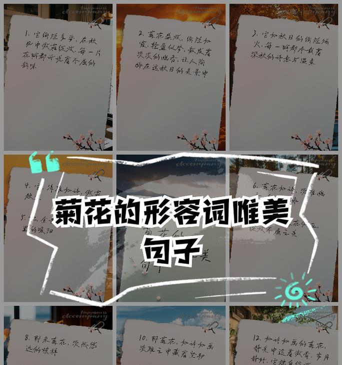 菊花有哪些特点？50字左右的介绍句子有哪些？