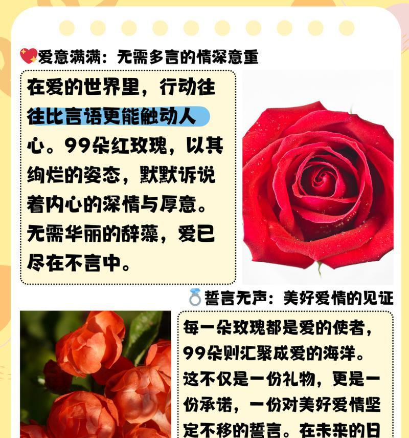 118朵红玫瑰代表什么含义？