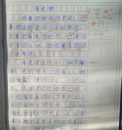 菊花我真喜欢作文200字左右说明文