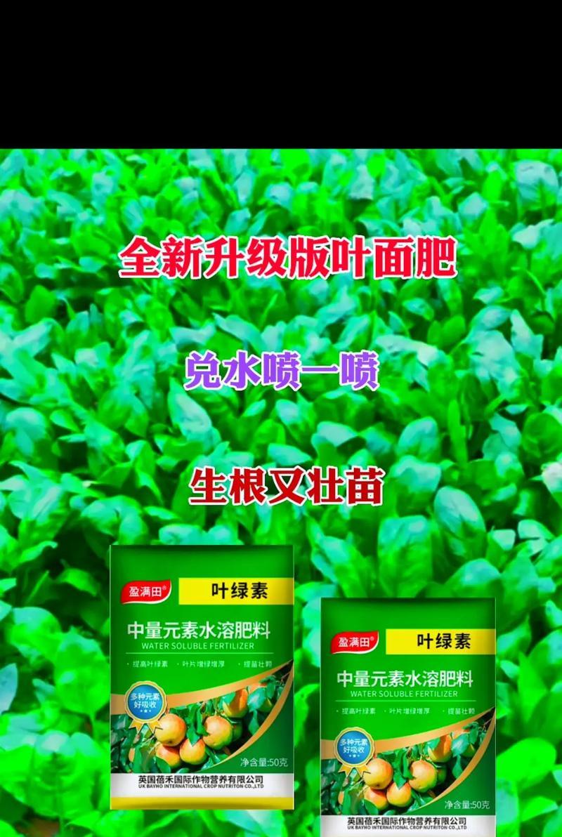 哪种肥料能让花卉叶子更绿？使用肥料的正确时机是什么时候？