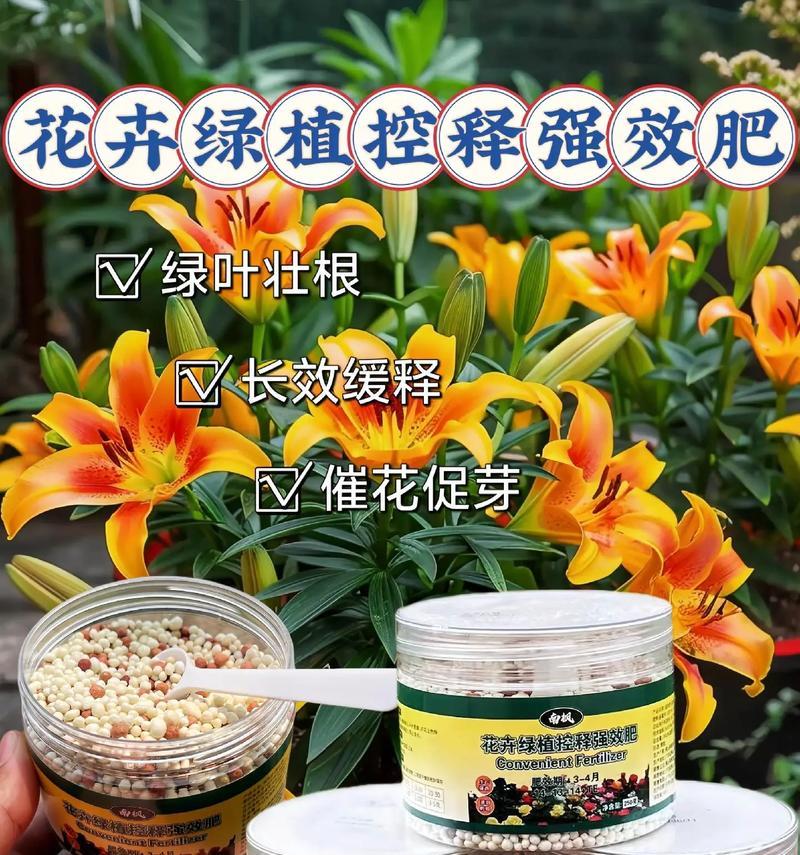 哪种肥料能让花卉叶子更绿？使用肥料的正确时机是什么时候？