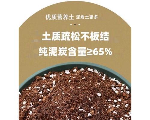 红土适合种什么植物？有哪些推荐？