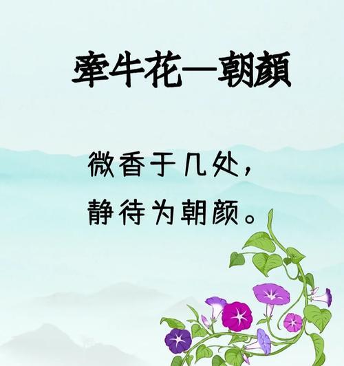 花卉员工有哪些名称？这些名称分别代表什么？