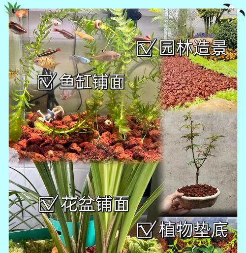 多肉植物铺面选择什么材料最适宜？