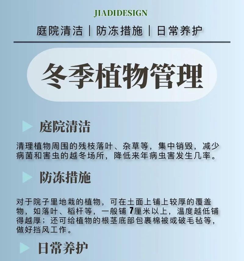 冬天植物怎么过冬？有哪些有效的保暖措施？