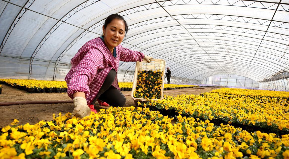 种花卉的女性代表人物有哪些？她们对花卉种植有哪些贡献？