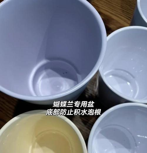 植物套盆的选择标准是什么？如何根据植物特性选择合适的套盆？