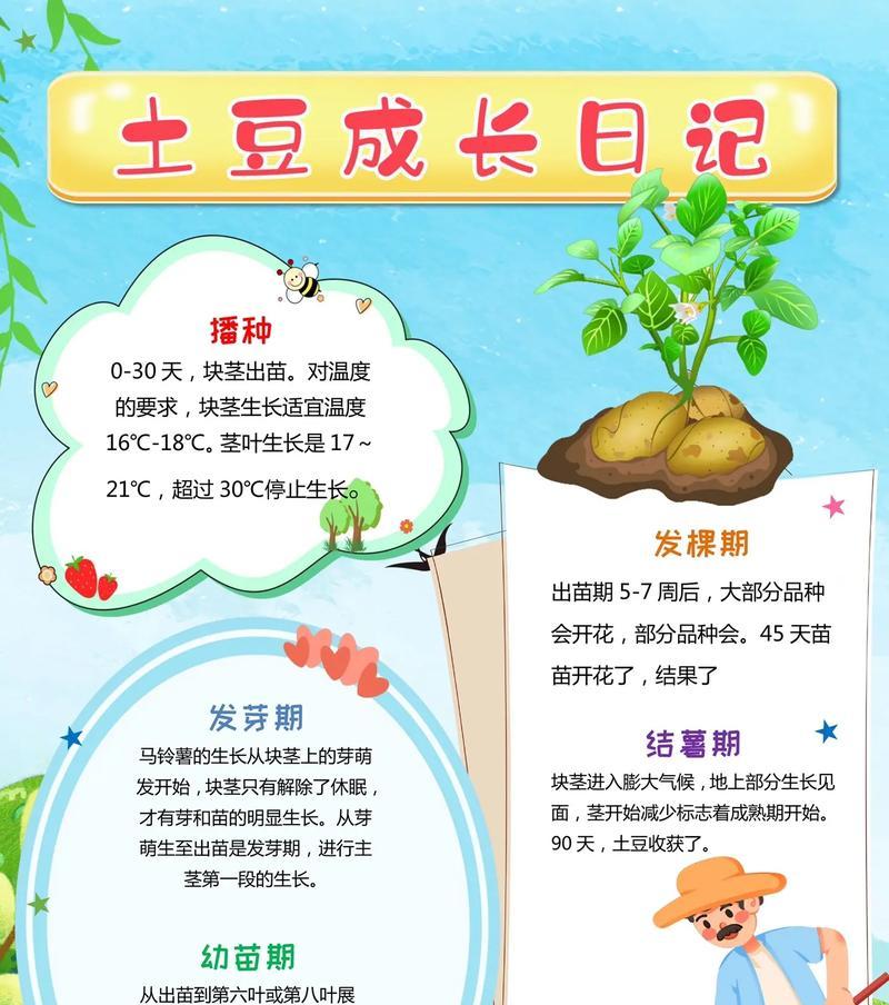 绿豆植物名片的设计要点是什么？