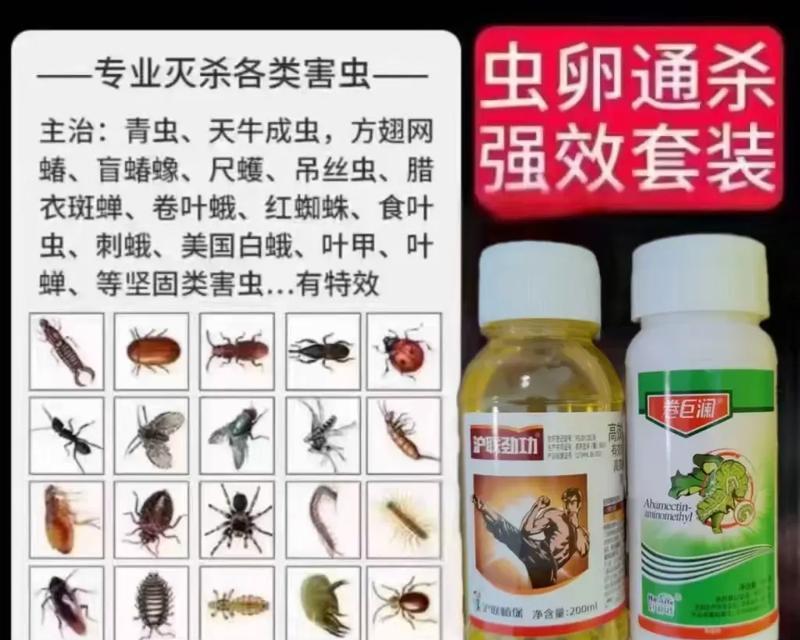 如何有效消灭害虫？有哪些安全的杀虫方法？