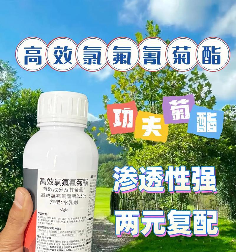 如何有效消灭害虫？有哪些安全的杀虫方法？