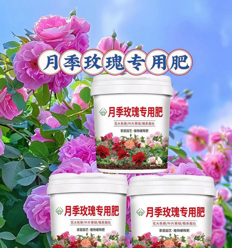 月季植物肥料的正确使用方法是什么？