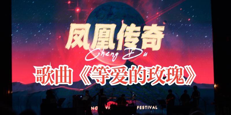 在演唱会撒玫瑰花代表了什么？