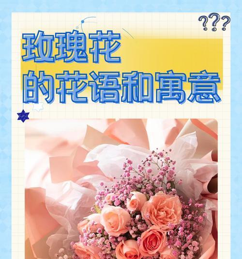 粉丝送玫瑰花代表什么？这种行为有何特别含义？