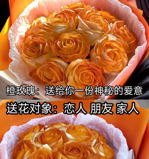 送玫瑰花的含义是什么？