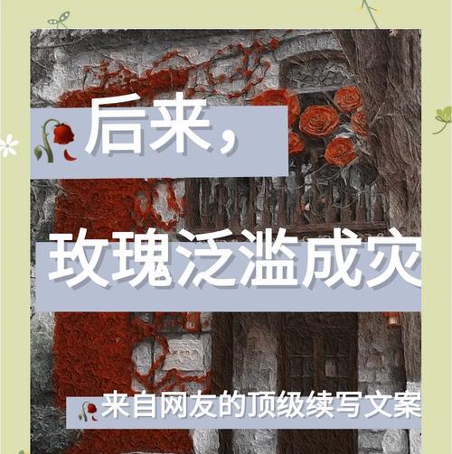 腐烂玫瑰花的寓意是什么？它传递了什么信息？