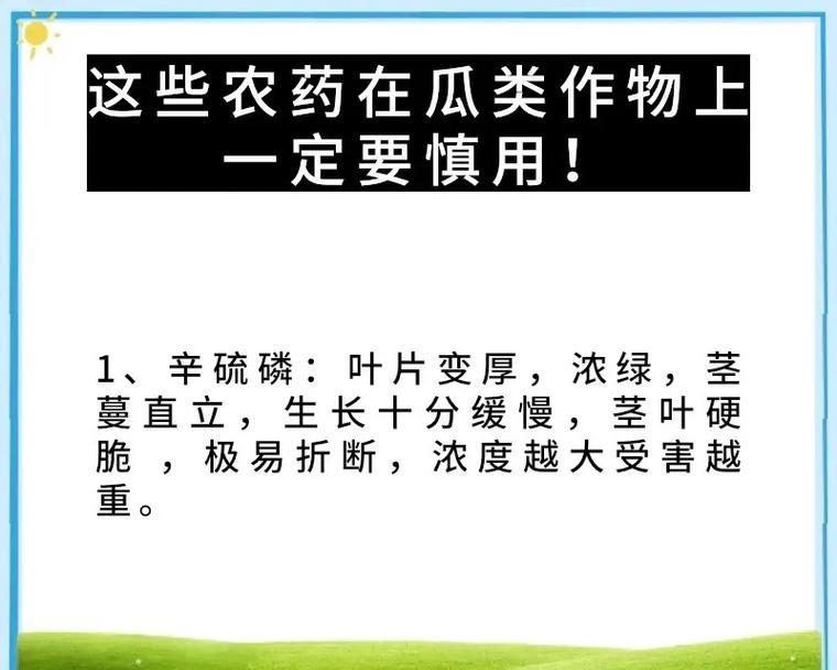 不使用农药的后果是什么？它对农作物有何影响？