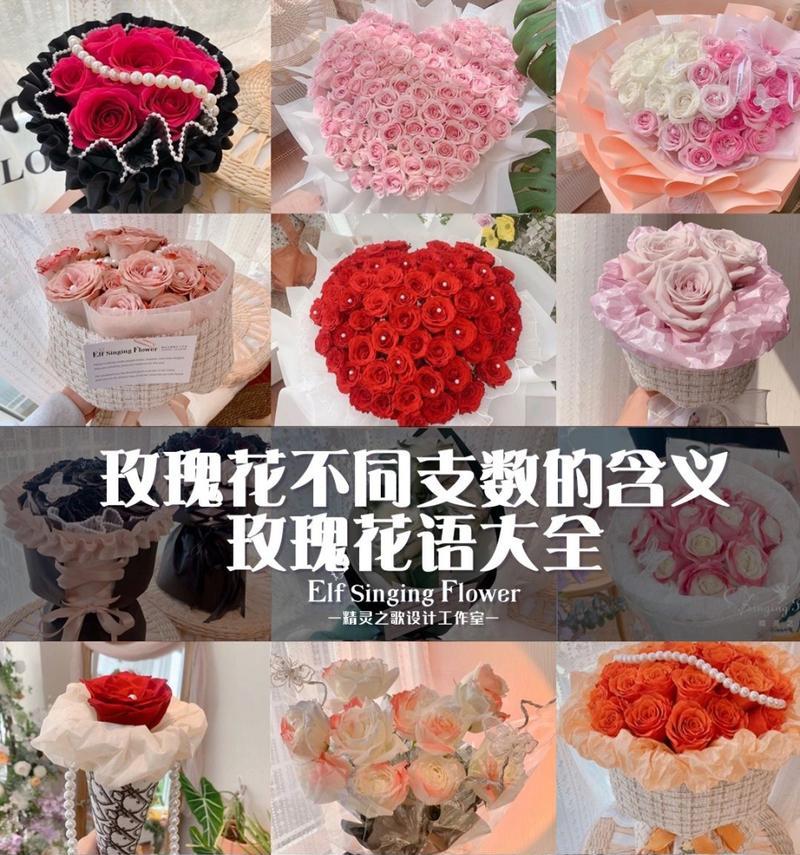 小狗对玫瑰花的反应意味着什么？它们对花有何种情感表达？