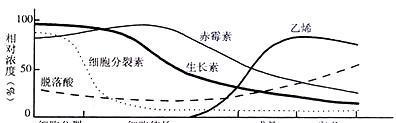 植物哭泣现象的科学解释是什么？