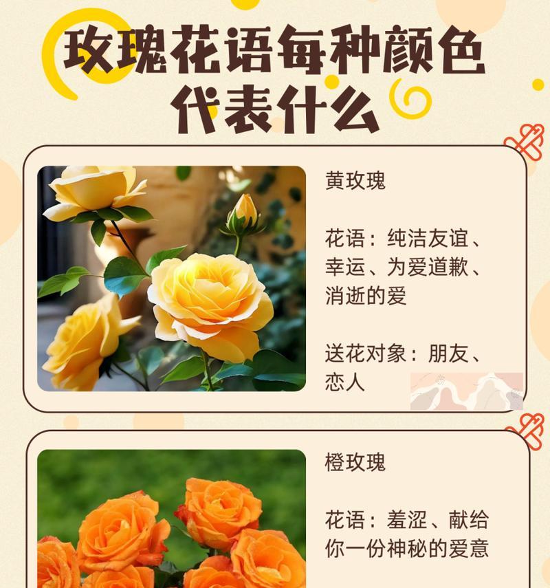 送19朵红玫瑰代表什么？花语含义是什么？