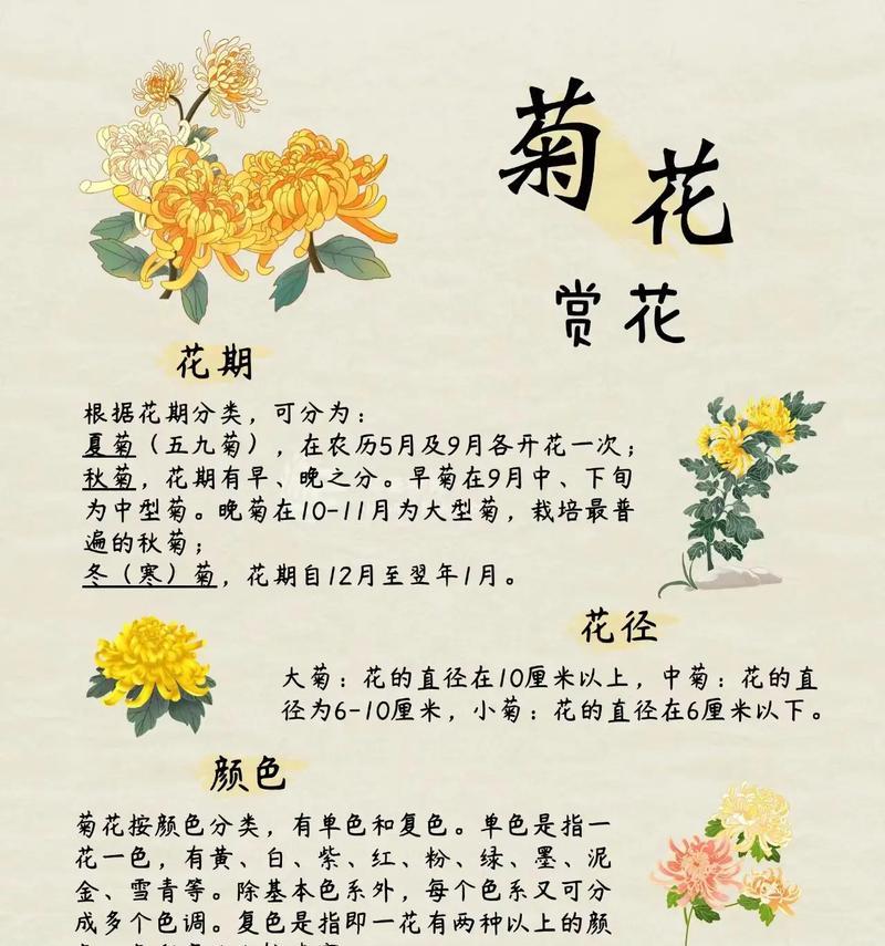 哪种花的花语代表着神秘？