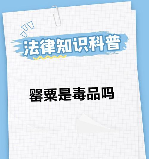 罂粟的花语及其象征意义是什么？