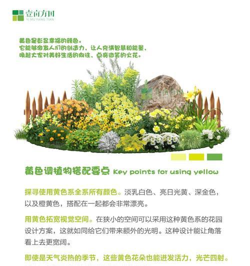 花境植物是什么意思？它通常用于什么样的场合？