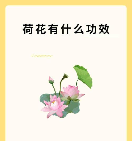 何花的花语是什么？不同花卉的花语有哪些？