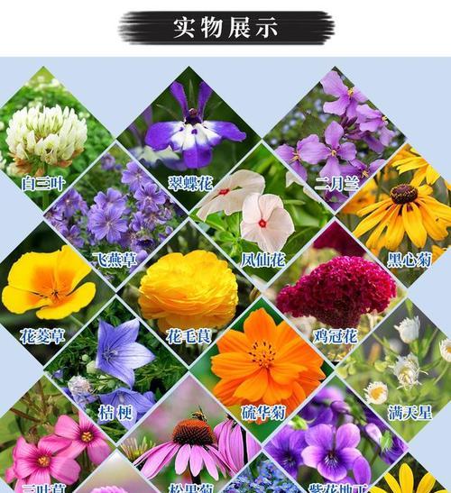 四季给予你花卉是什么意思？花卉在四季中的寓意是什么？