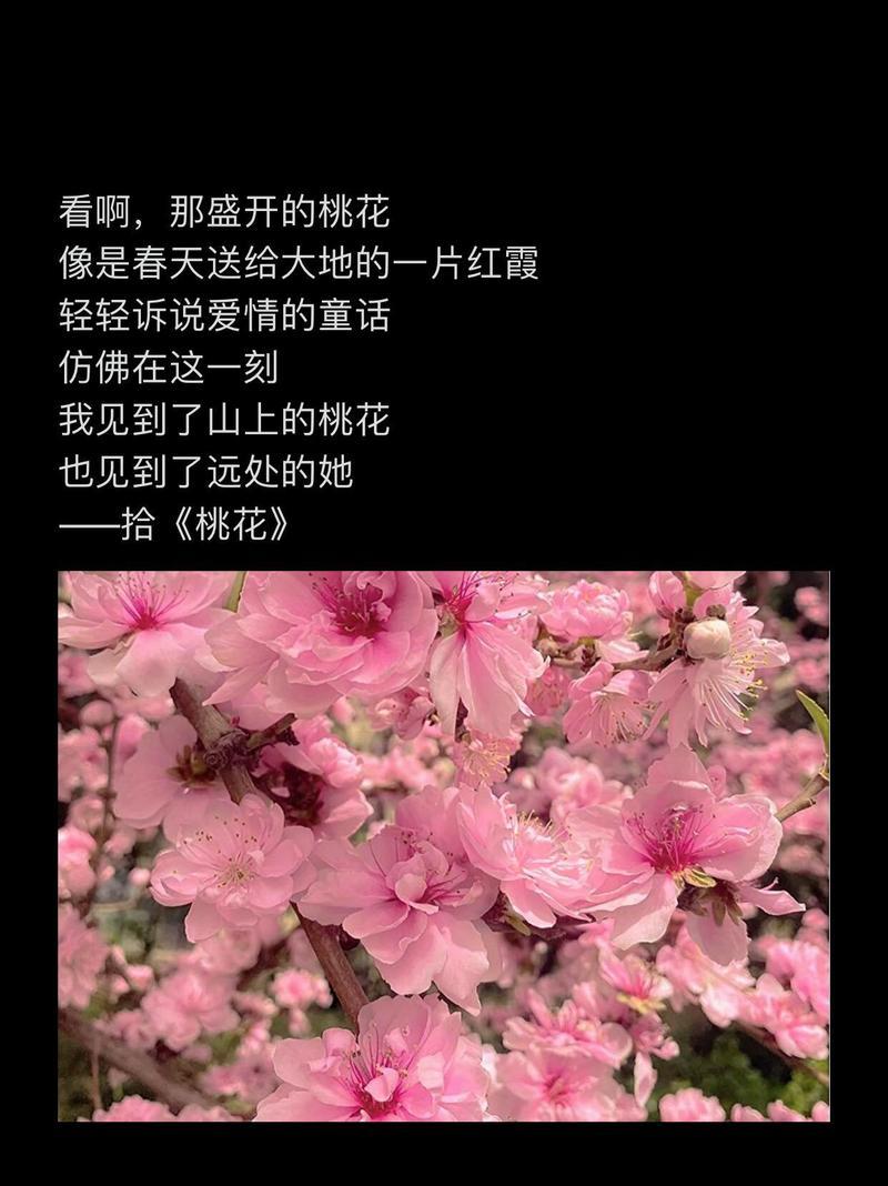 桃花的花语通常表达什么情感？