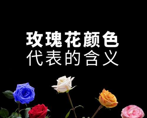 不买玫瑰花代表什么含义？