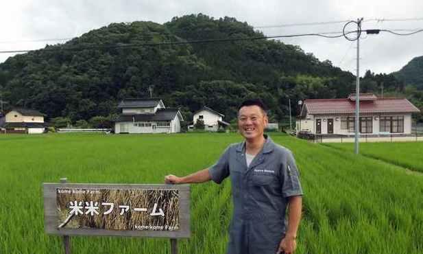 种植水稻有哪些内在原因？