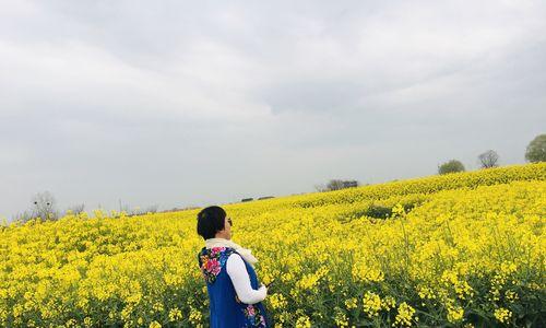 花语花香的解释有何含义？