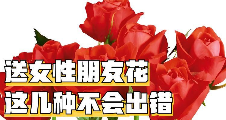 只做朋友的花语代表什么？如何正确理解？