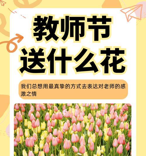 送什么花给老师花语有什么意义？送给老师的花语代表了哪些敬意？